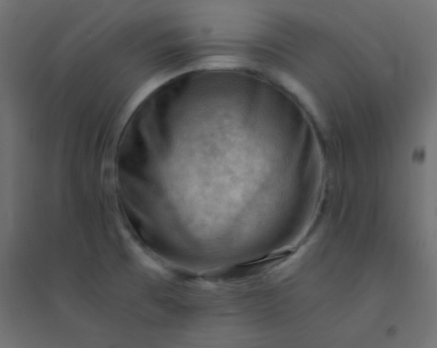 X0000094451473200711211508