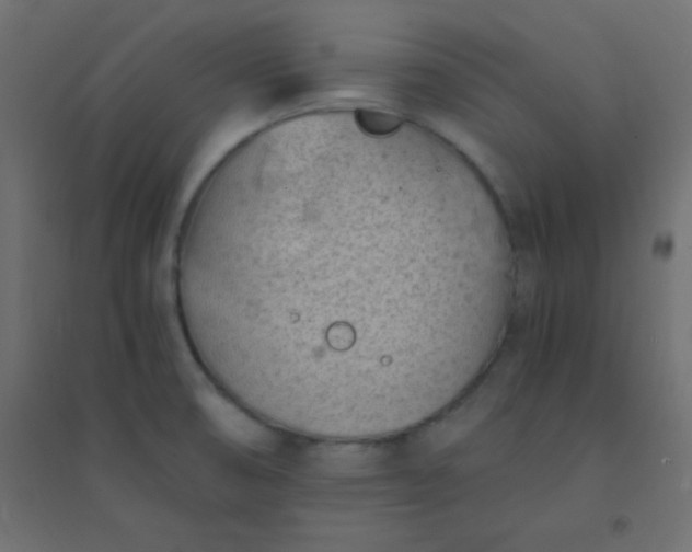 X0000094451474200711211508