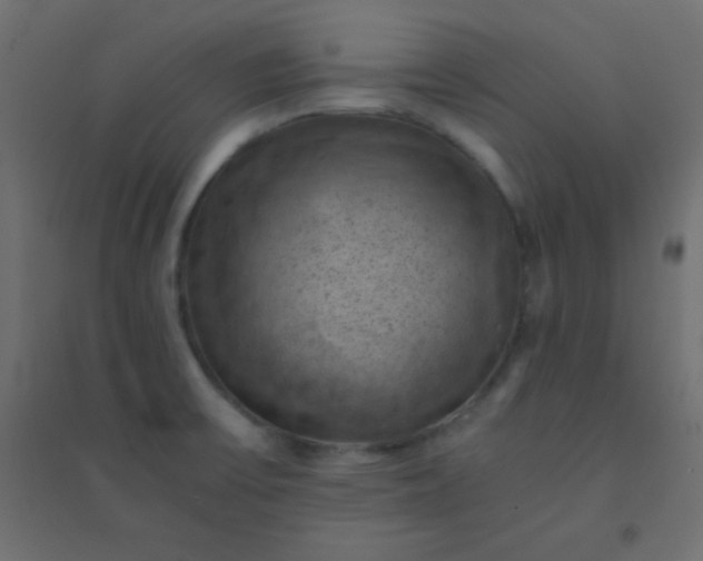 X0000094451475200711211508