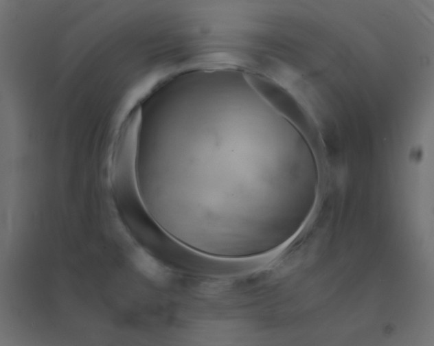 X0000094451477200711211507