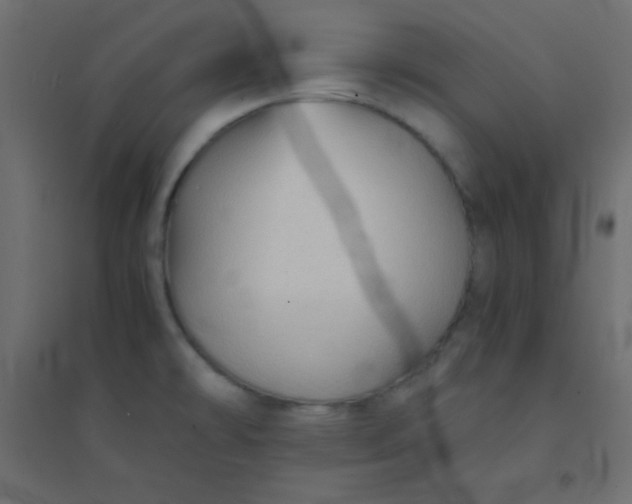 X0000094451478200711211507