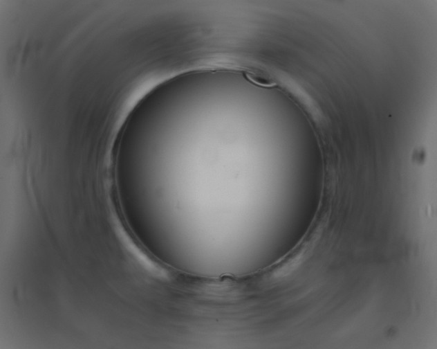 X0000094451479200711211507