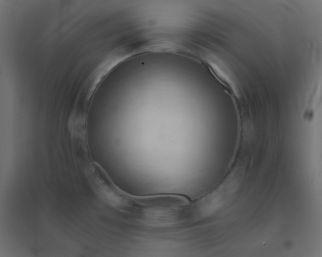 X0000094451481200711211507