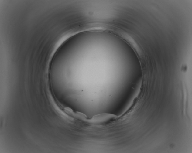 X0000094451483200711211507
