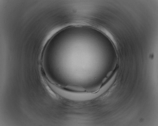 X0000094451485200711211507