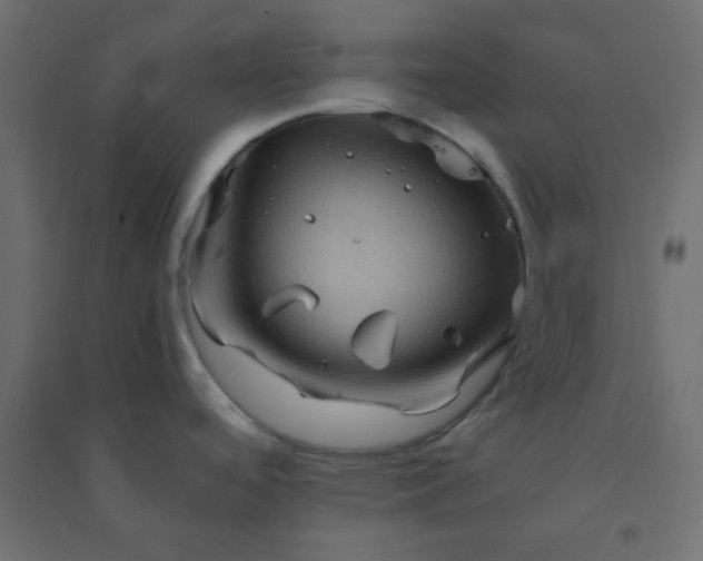 X0000094451488200711211507