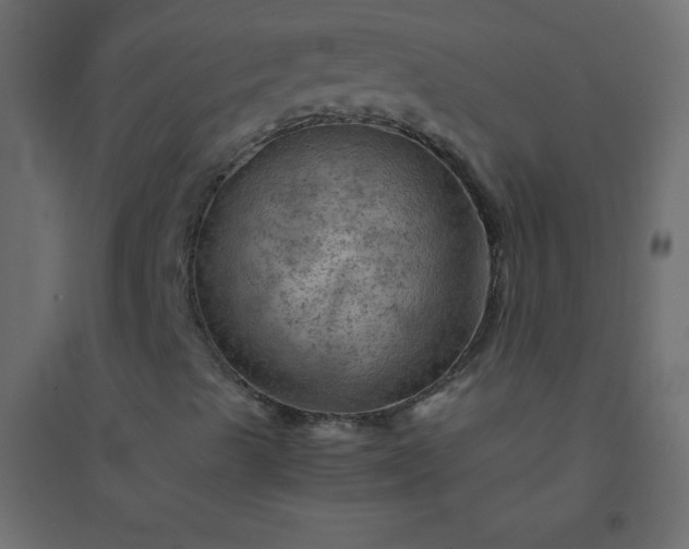 X0000094451489200711211507
