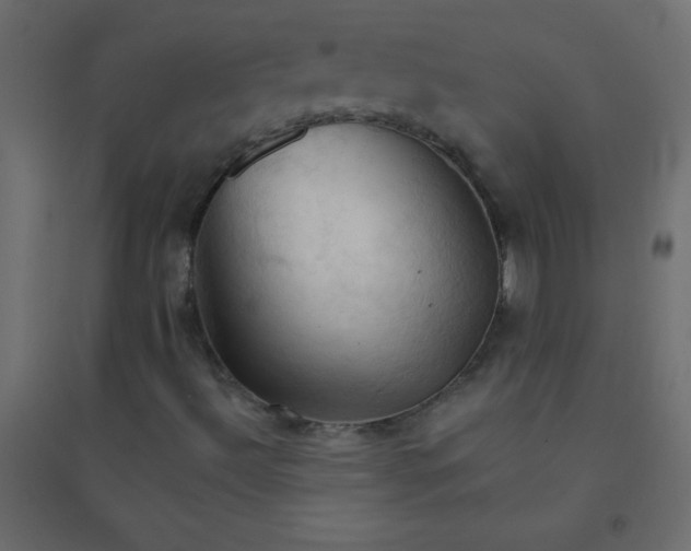 X0000094451492200711211507