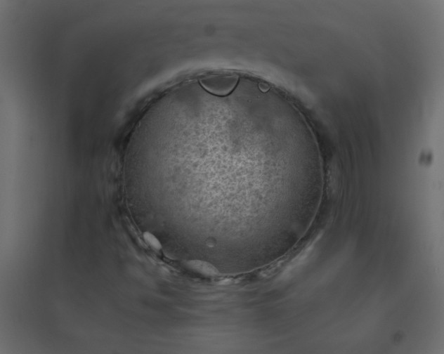 X0000094451494200711211507