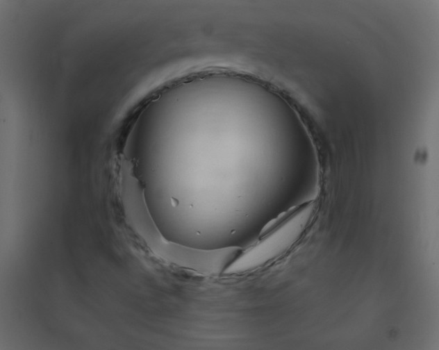 X0000094451496200711211507