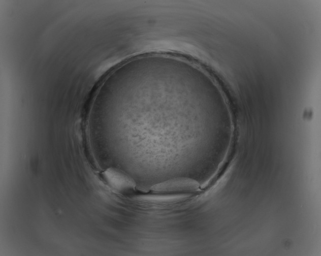 X0000094451497200711211507