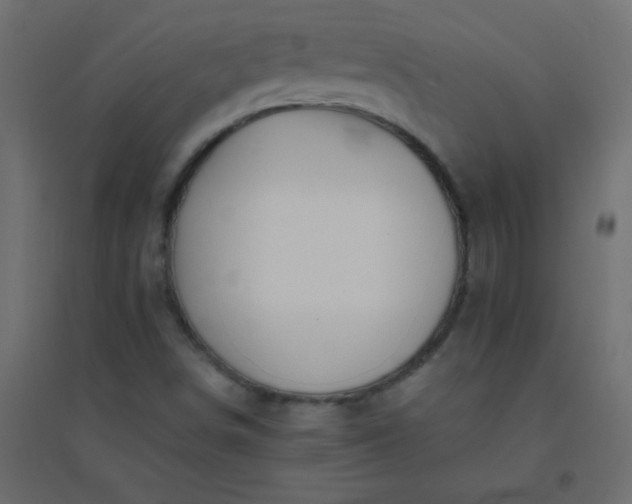 X0000094451498200711211507