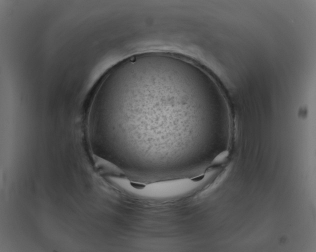 X0000094451501200711211507