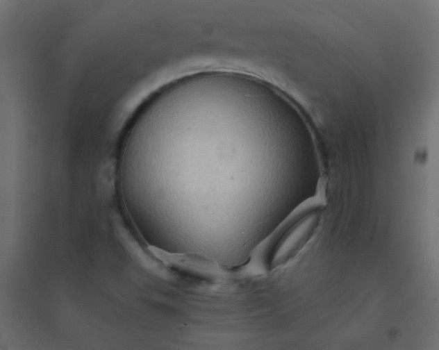 X0000094451503200711211507