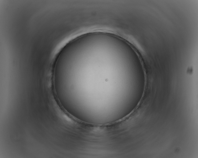 X0000094451504200711211507