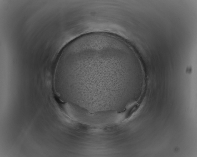 X0000094451505200711211507