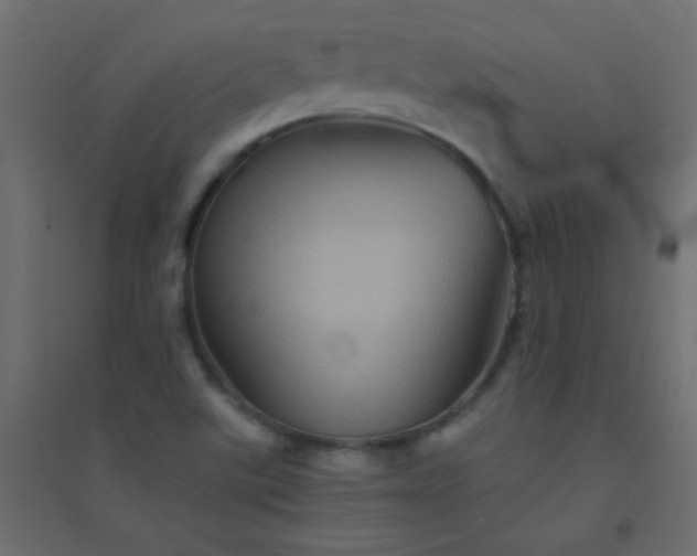 X0000094451507200711211507