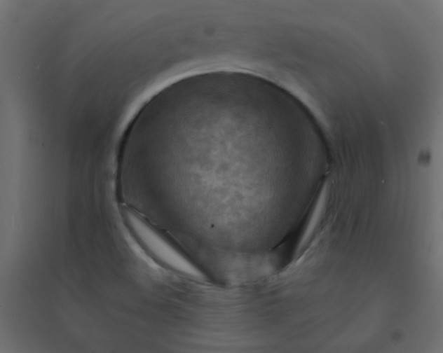 X0000094451508200711211507