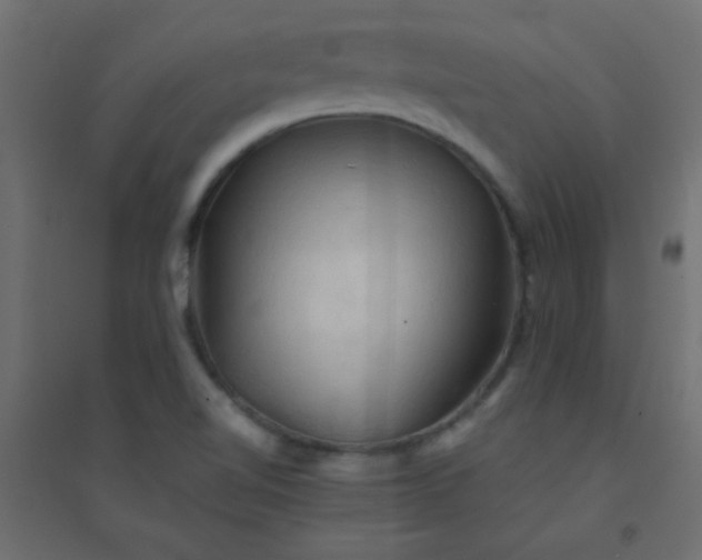 X0000094451510200711211507