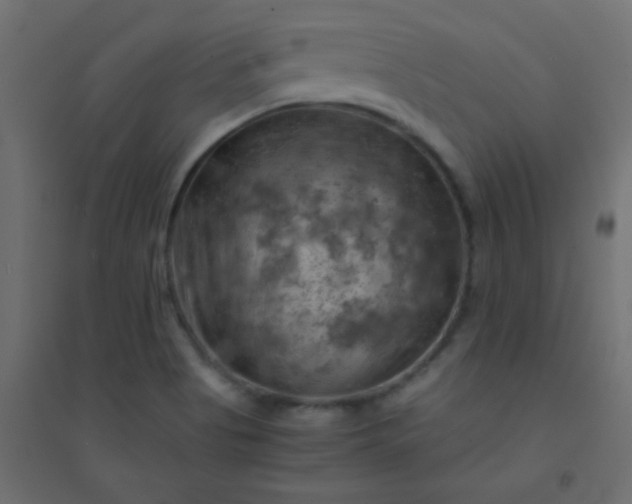 X0000094451513200711211507