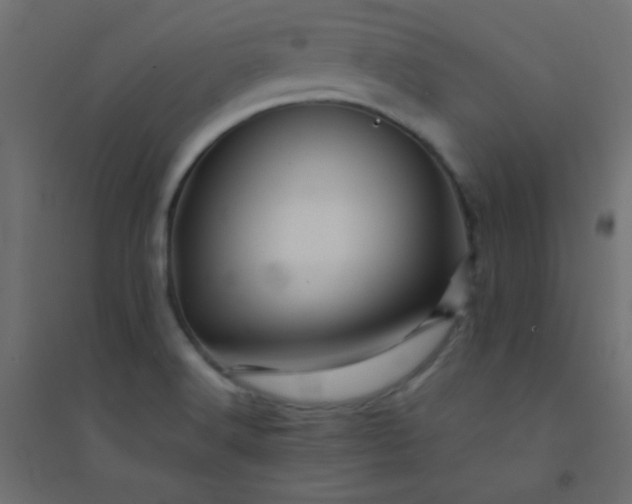 X0000094451516200711211507