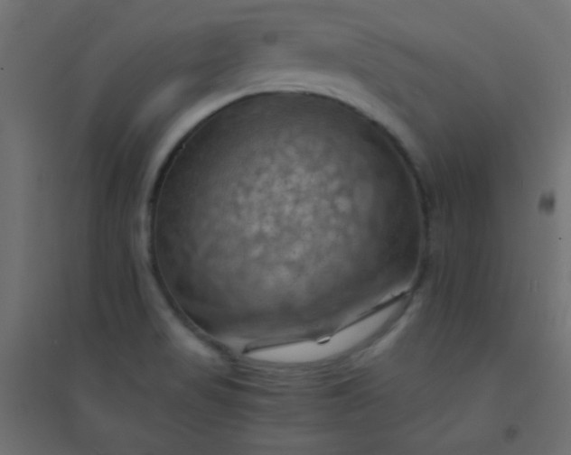 X0000094451517200711211507