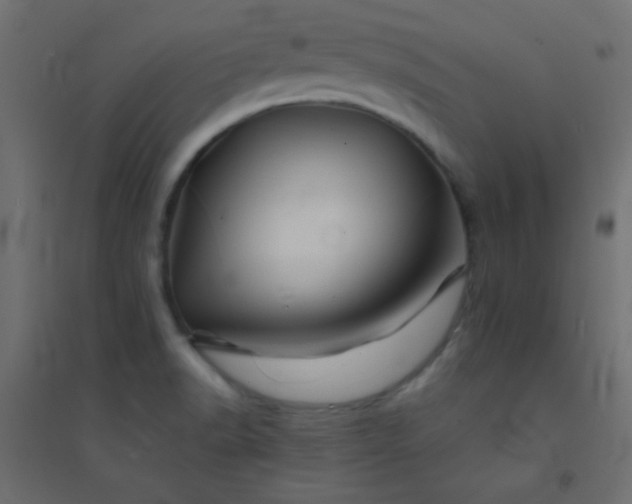 X0000094451518200711211507