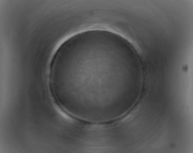 X0000094451519200711211507