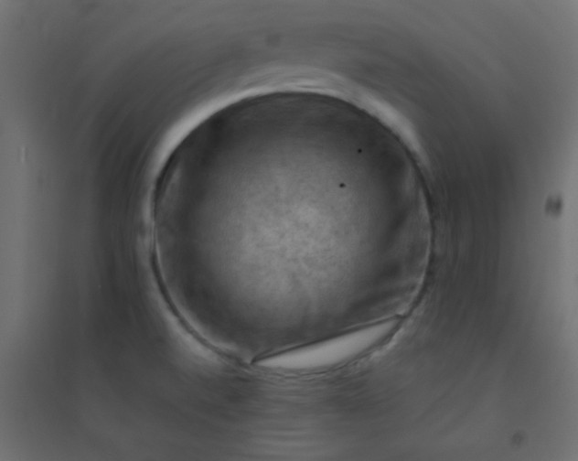 X0000094451520200711211507