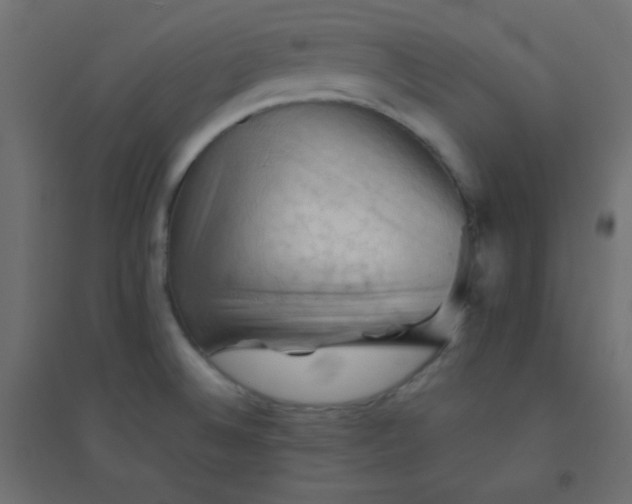 X0000094451524200711211507