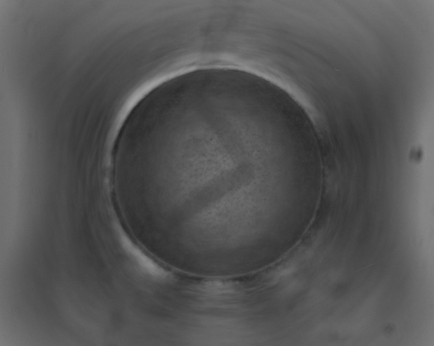 X0000094451527200711211507