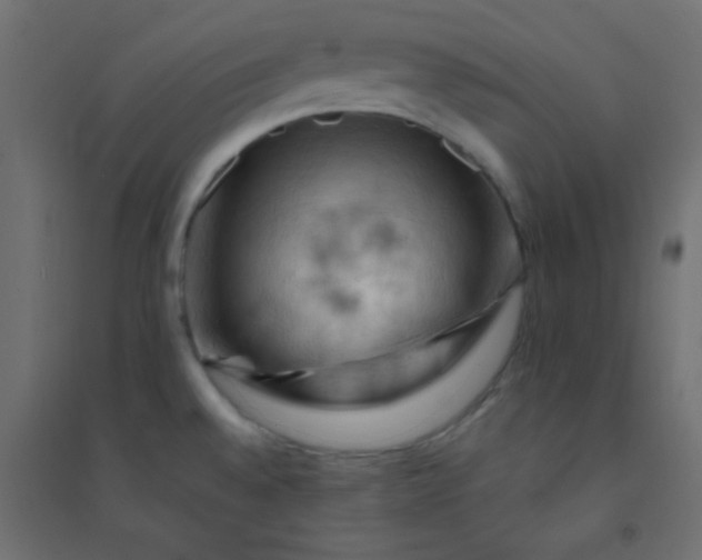 X0000094451528200711211507