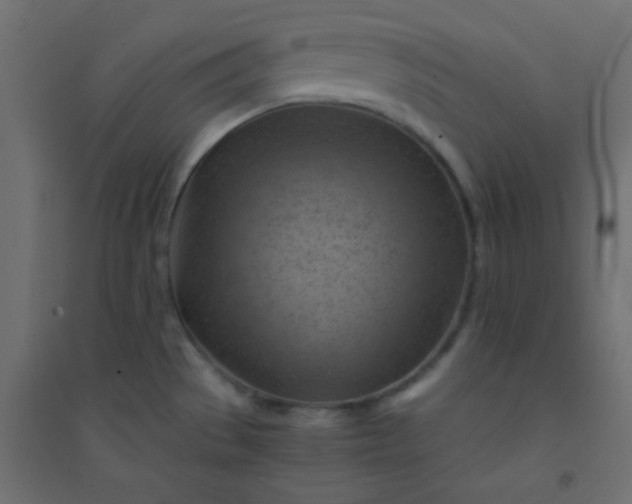 X0000094451529200711211507