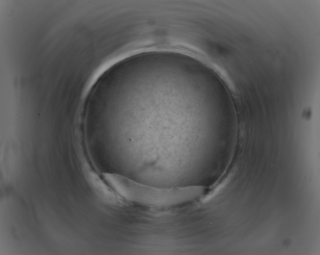 X0000094451530200711211507
