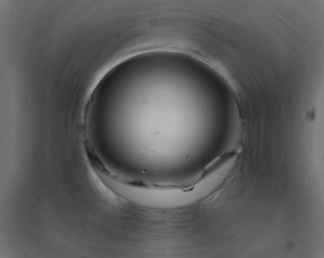 X0000094451532200711211507
