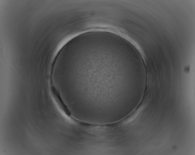 X0000094451533200711211507