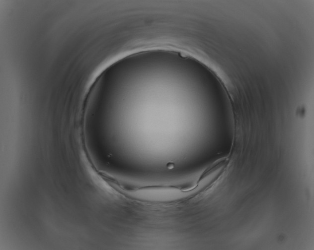 X0000094451534200711211507