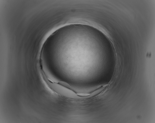 X0000094451536200711211507