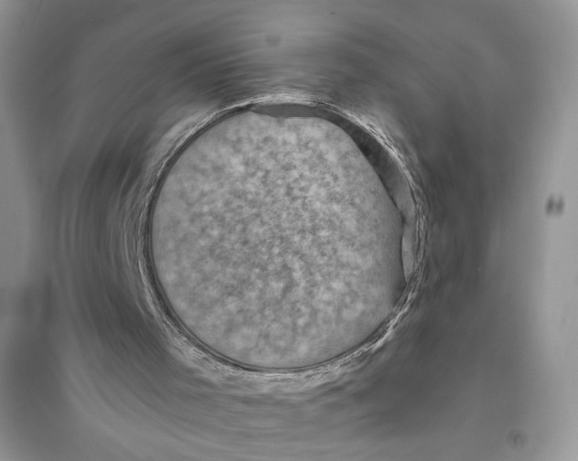 X0000094450001200711291710