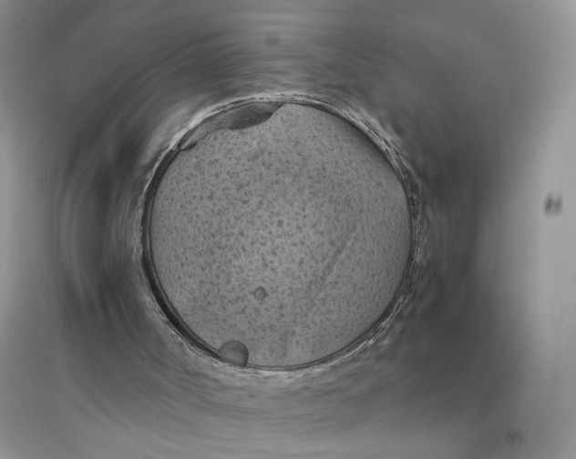 X0000094450002200711291710