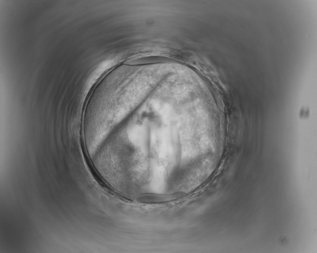 X0000094450003200711291710