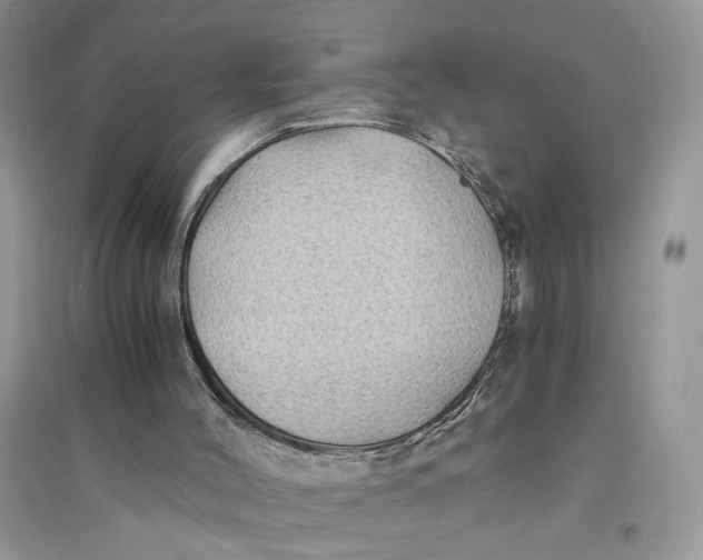 X0000094450004200711291710