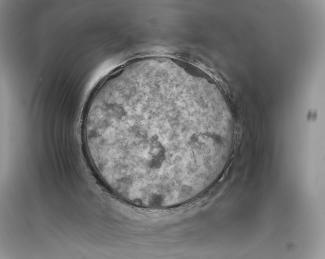 X0000094450006200711291710