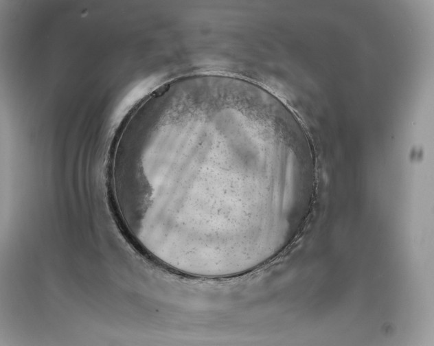 X0000094450007200711291710