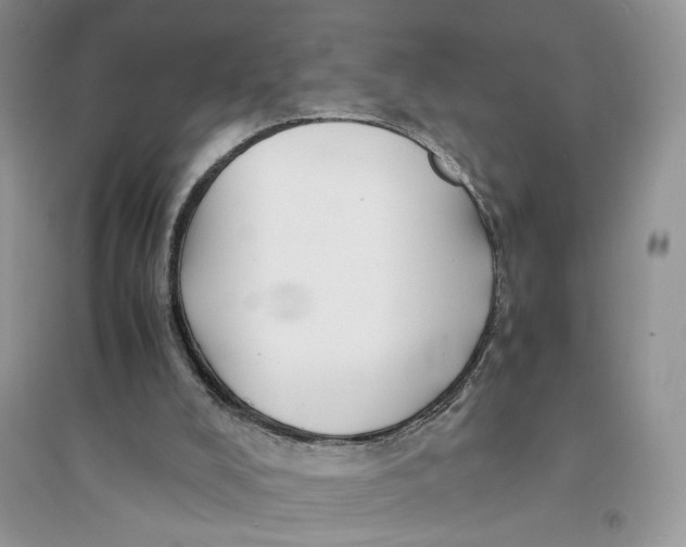 X0000094450008200711291710