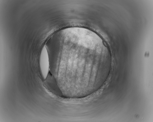 X0000094450009200711291710