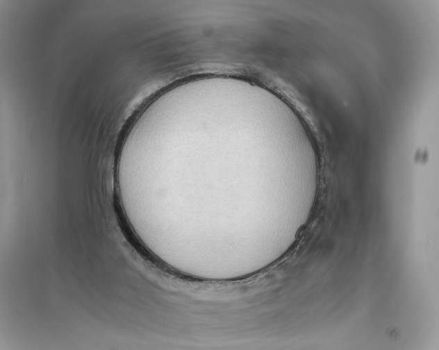 X0000094450011200711291709