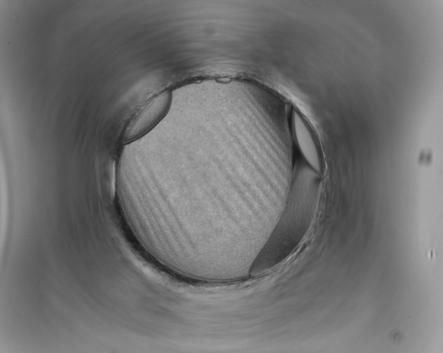 X0000094450013200711291709