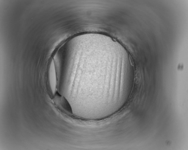 X0000094450015200711291709