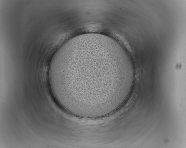 X0000094450018200711291709